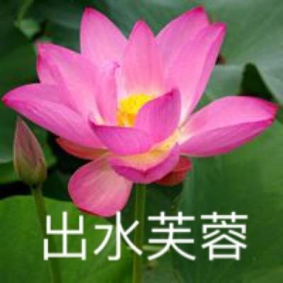 幻影之门内购破解版下载
